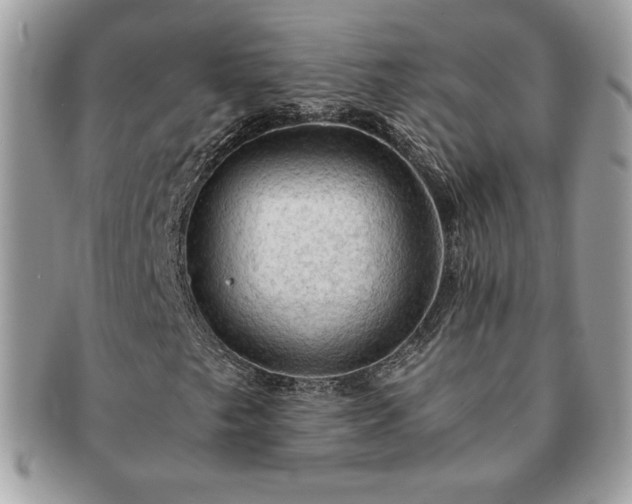 X0000091201249200708161606