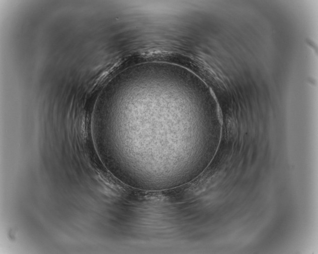 X0000091201250200708161606