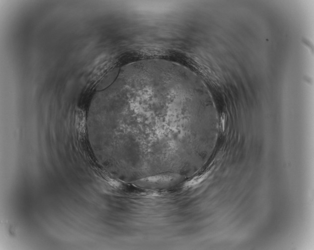X0000091201251200708161606