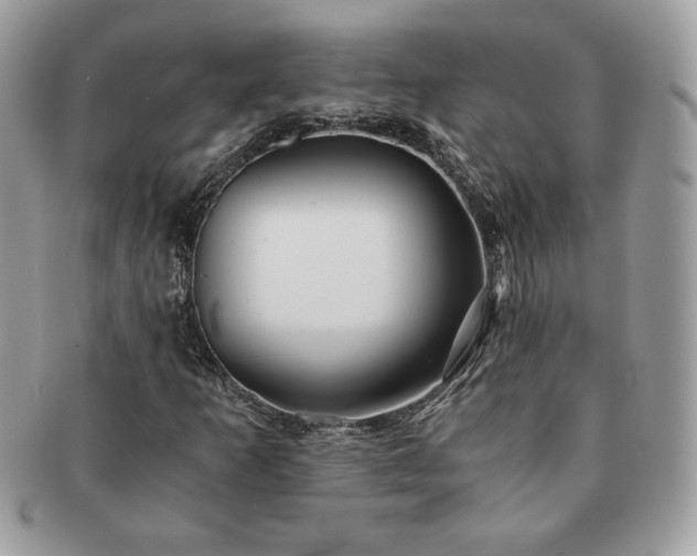 X0000091201253200708161606