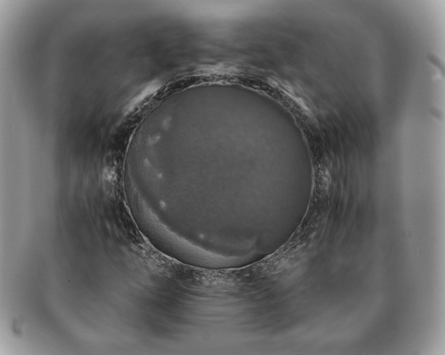 X0000091201254200708161606