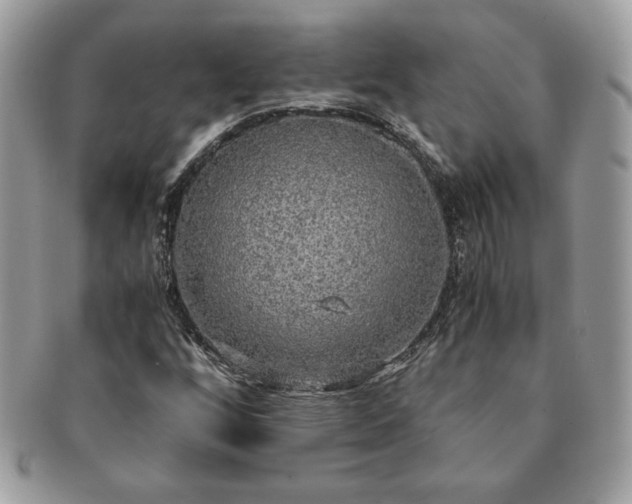 X0000091201256200708161606
