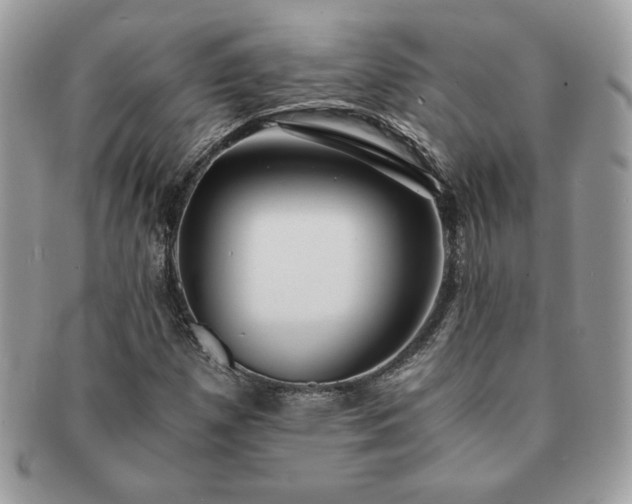 X0000091201257200708161606