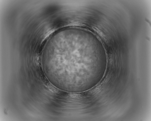 X0000091201258200708161606