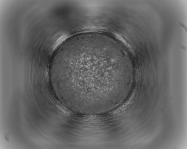 X0000091201259200708161606
