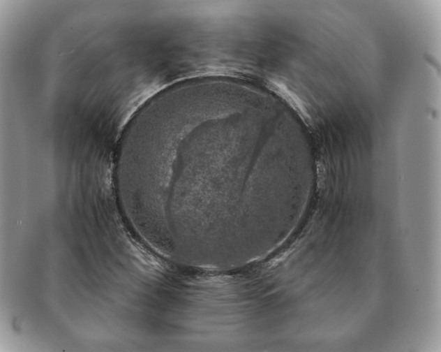 X0000091201260200708161606