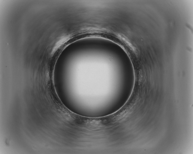 X0000091201261200708161606