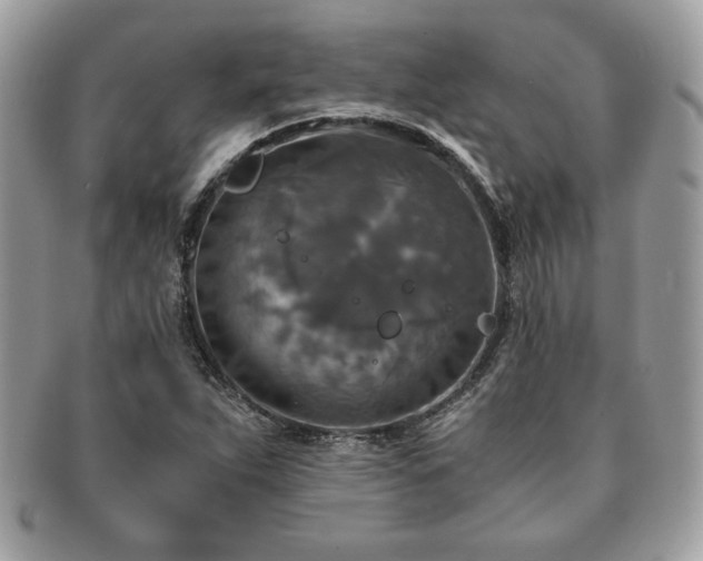 X0000091201263200708161606