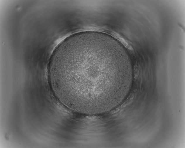 X0000091201264200708161606
