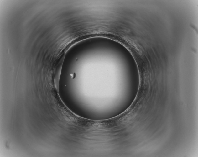 X0000091201265200708161606