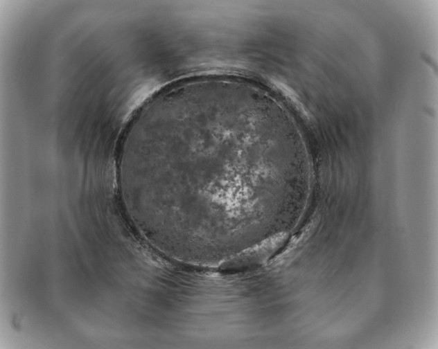 X0000091201267200708161606