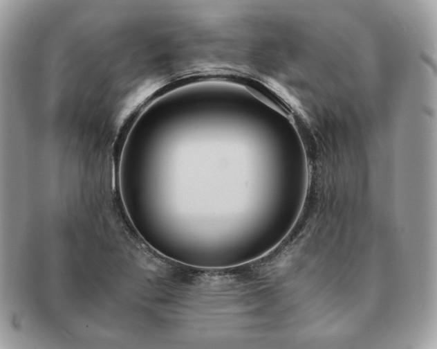 X0000091201269200708161606