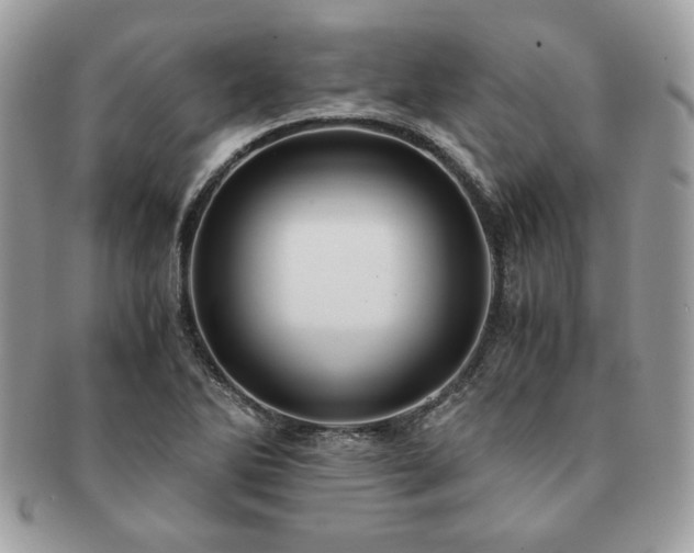 X0000091201270200708161606