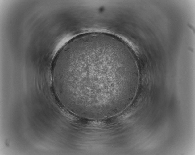 X0000091201271200708161606