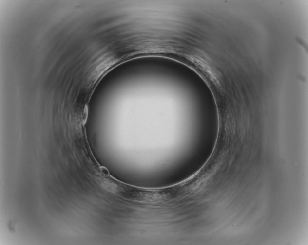 X0000091201273200708161606