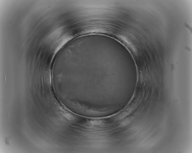 X0000091201274200708161606