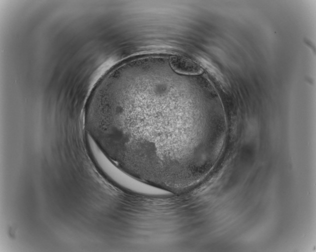 X0000091201275200708161606