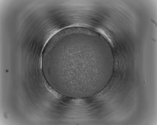 X0000091201276200708161606