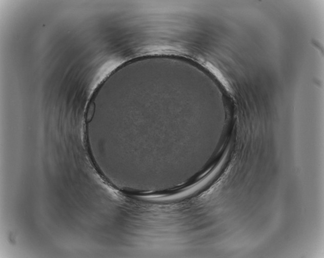 X0000091201277200708161606
