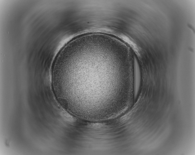 X0000091201280200708161606