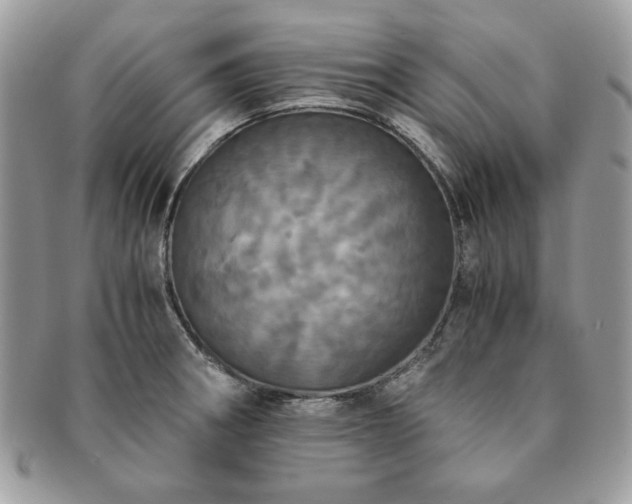 X0000091201282200708161606