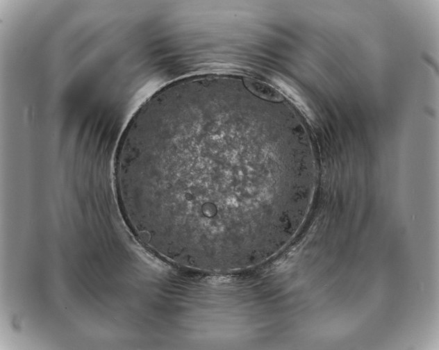X0000091201283200708161606