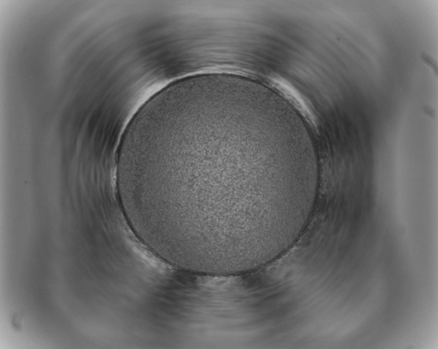X0000091201284200708161606