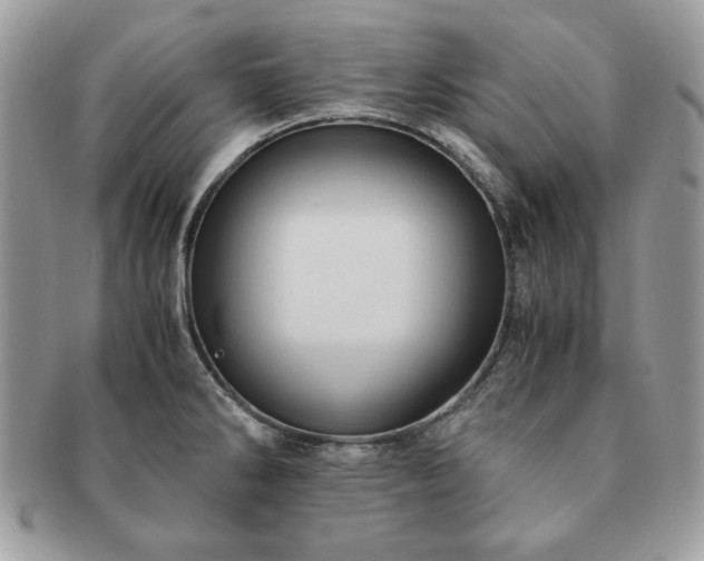 X0000091201286200708161606
