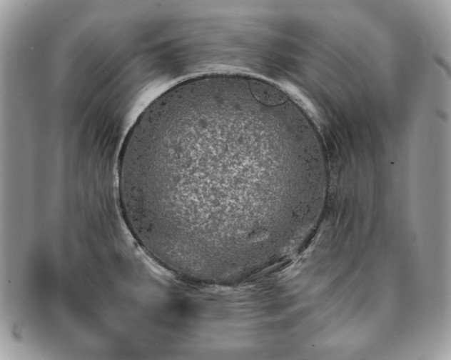 X0000091201287200708161606