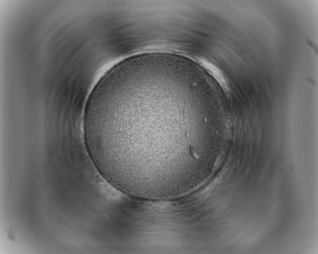 X0000091201288200708161606