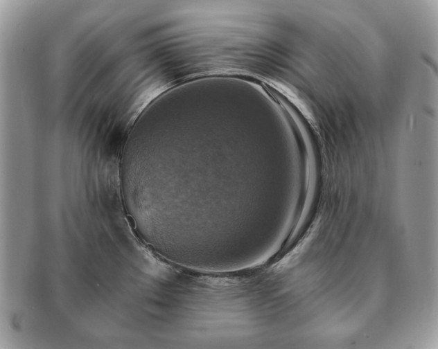 X0000091201289200708161606
