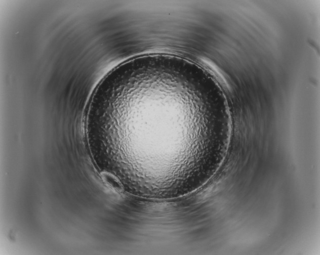 X0000091201292200708161606
