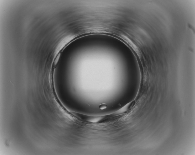 X0000091201293200708161606