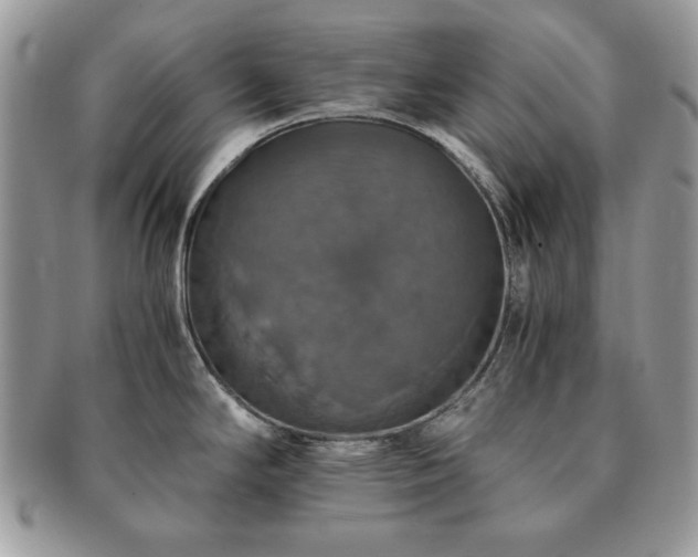 X0000091201294200708161606