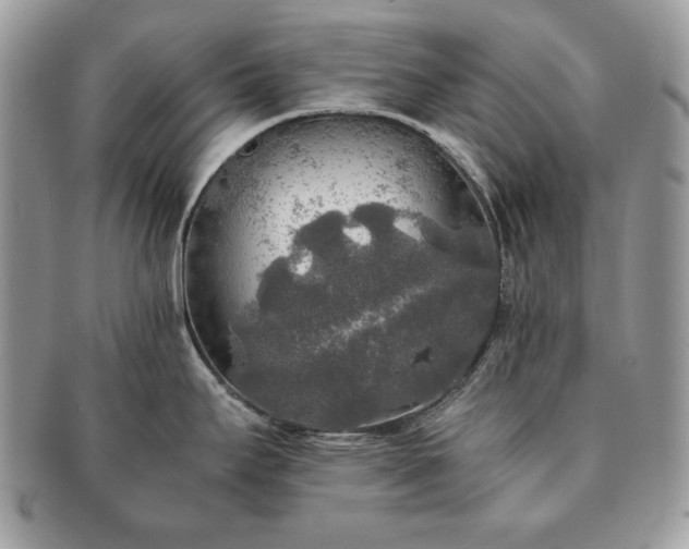 X0000091201295200708161606