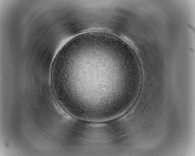 X0000091201296200708161606