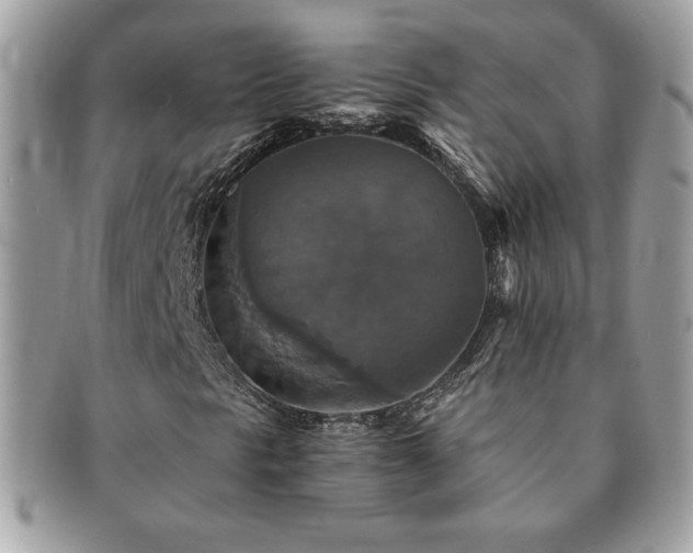 X0000091201297200708161605