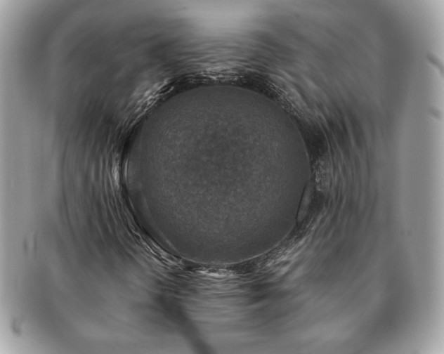 X0000091201298200708161605