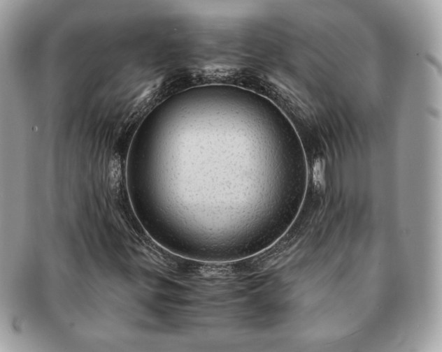 X0000091201299200708161605