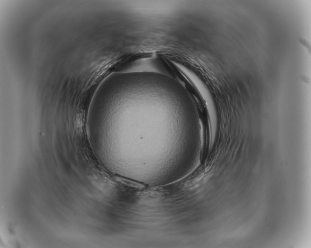 X0000091201300200708161605