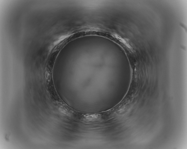 X0000091201303200708161605