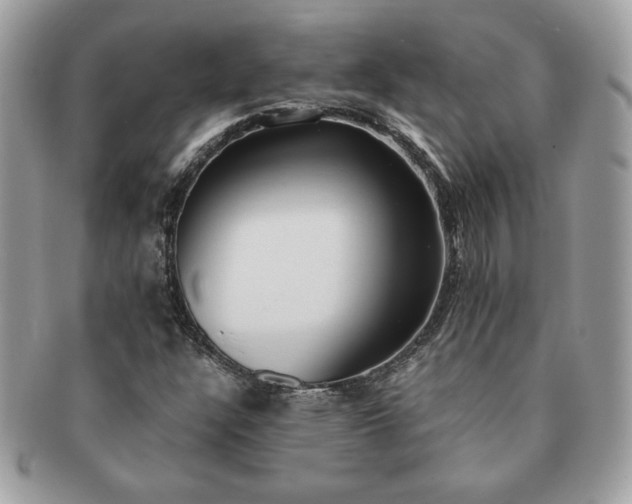 X0000091201304200708161605