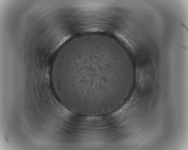 X0000091201305200708161605