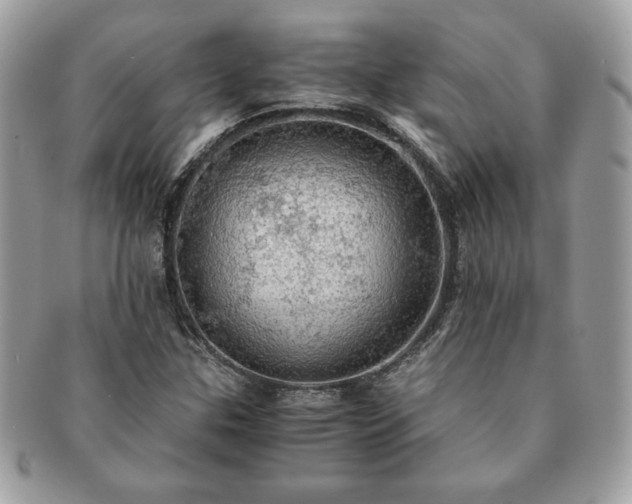 X0000091201307200708161605
