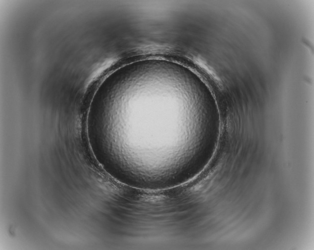 X0000091201309200708161605