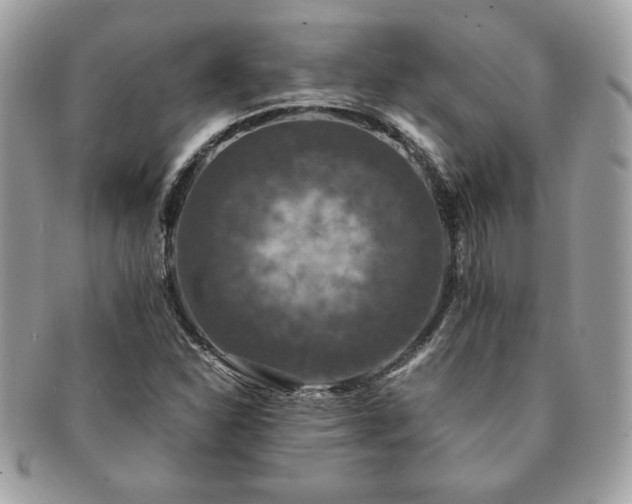 X0000091201310200708161605