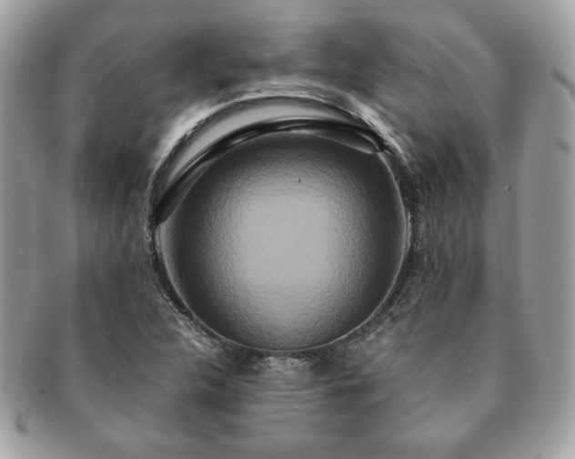X0000091201312200708161605