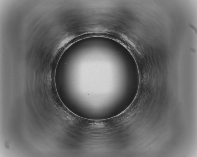 X0000091201315200708161605