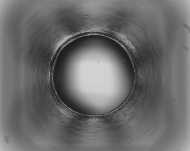 X0000091201316200708161605
