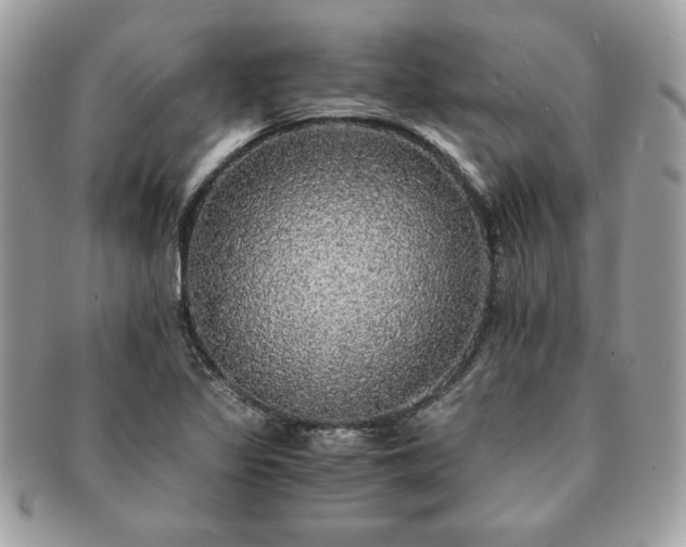 X0000091201317200708161605